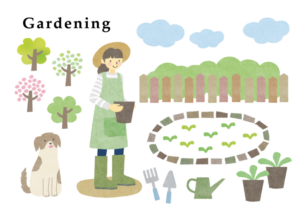薬草を育てるイラスト