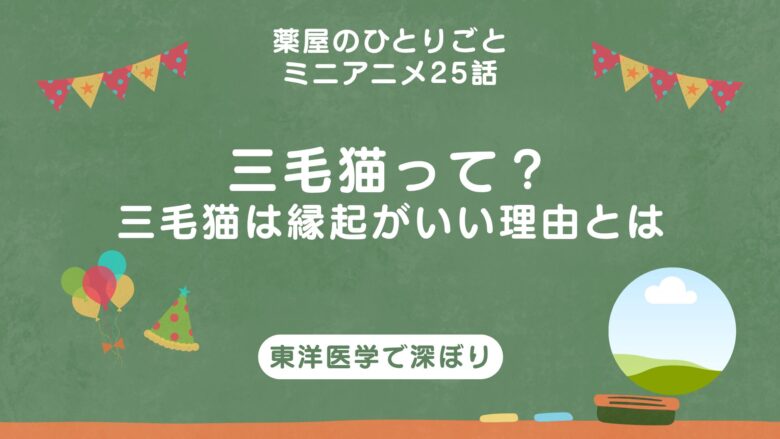 薬屋のひとりごと　三毛猫