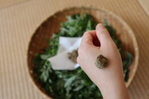 もぐさとお灸