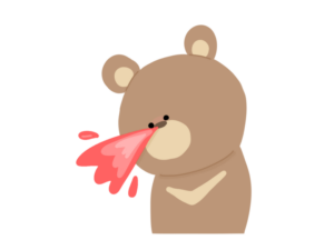 鼻血を出すクマ